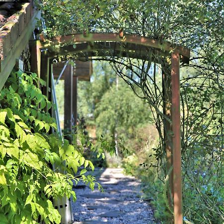 Norwegisches Blockhaus Villa Bad Muenstereifel Ngoại thất bức ảnh