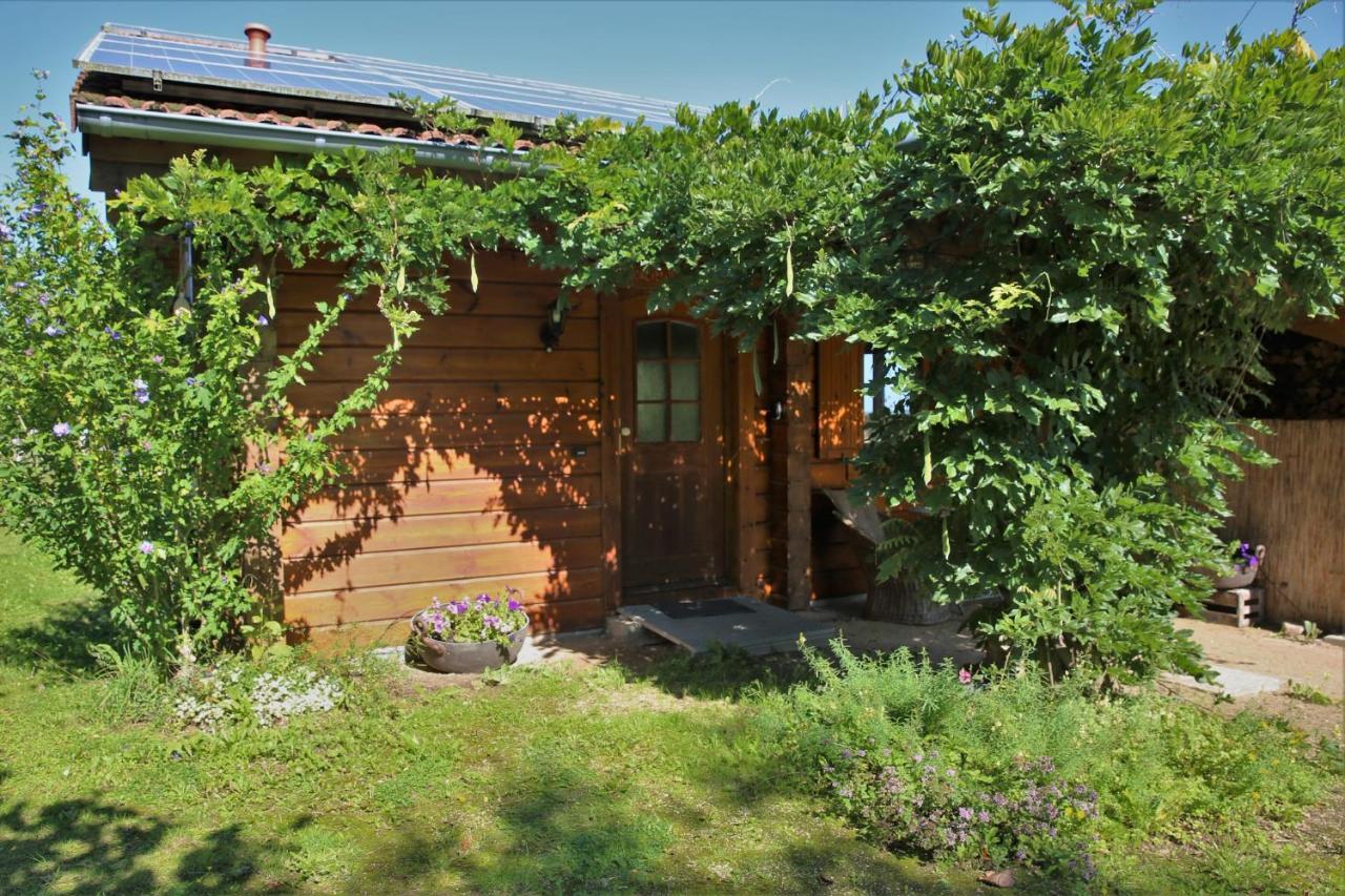 Norwegisches Blockhaus Villa Bad Muenstereifel Ngoại thất bức ảnh